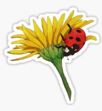 Ladybug Sticker