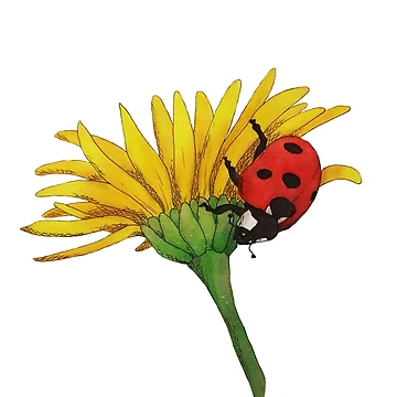 Artwork thumbnail, Ladybug by RageMelon