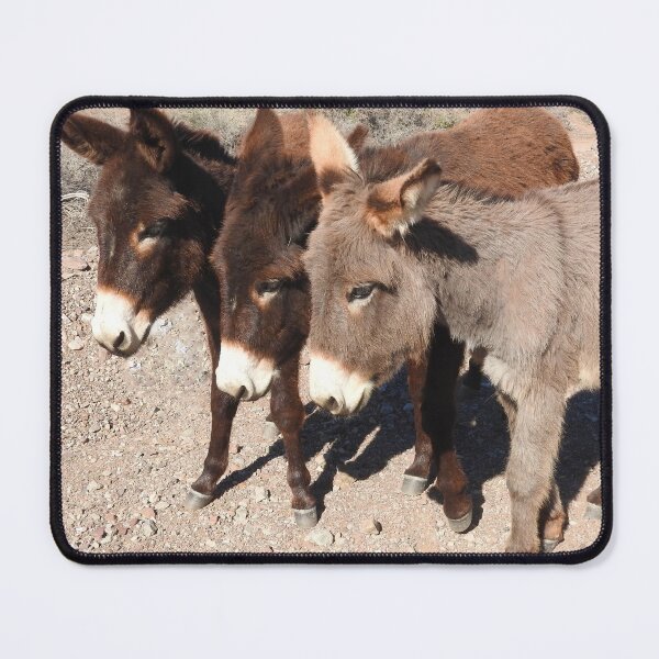 Item preview, Wild burros, donkeys, wildlife, Wild Burro Buddies designed and sold by Sandra O'Toole.