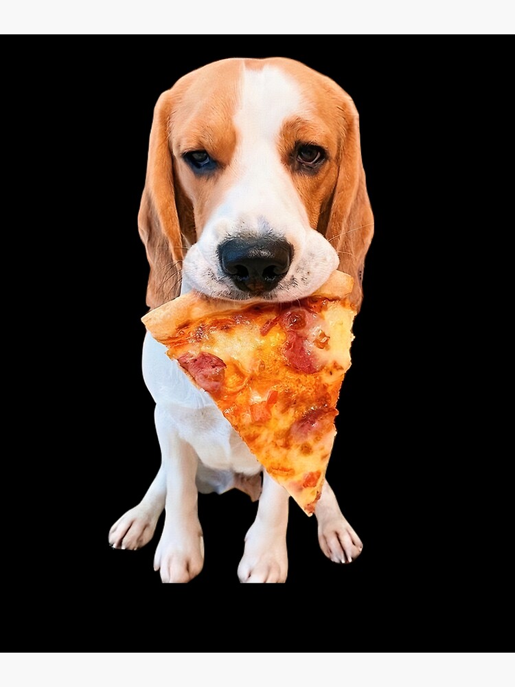 dog-eating-a-pizza-my-dog-ate-a-pizza-slice-poster-for-sale-by