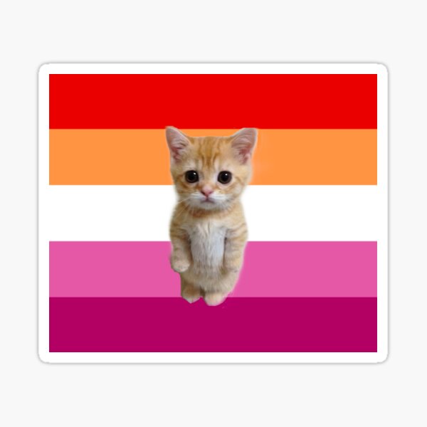 Lesbian El Gato Sticker For Sale By Swagrachel Redbubble