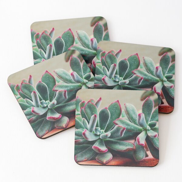 Item preview, Velvet Echeveria Succulent designed and sold by CarolinaReina.