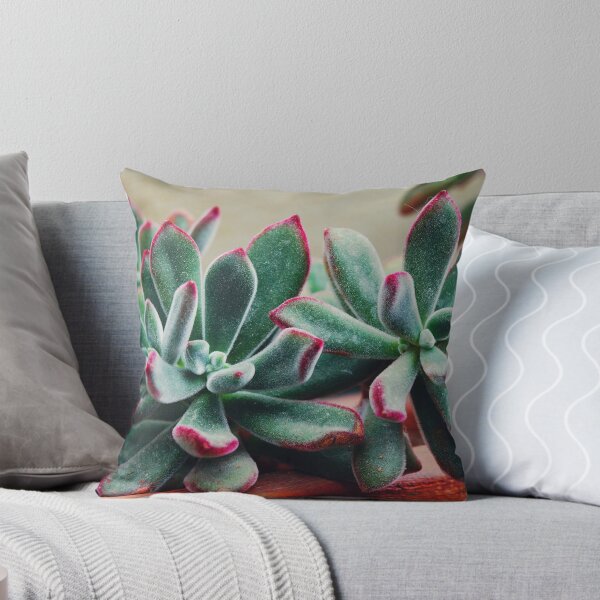 Item preview, Velvet Echeveria Succulent designed and sold by CarolinaReina.