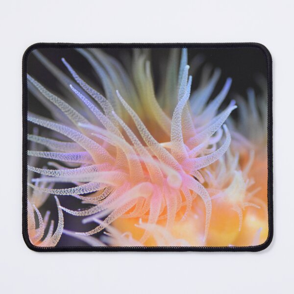 Item preview, HD Dendro coral designed and sold by VossenAquatics.