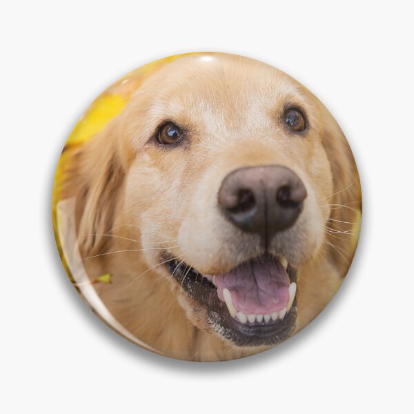 Item preview, golden retriver designed and sold by Leonardo Bakonyi.