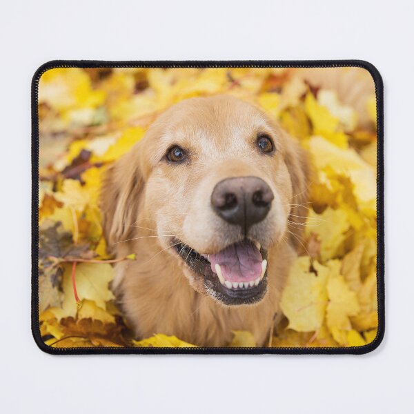 Item preview, golden retriver designed and sold by Leonardo Bakonyi.