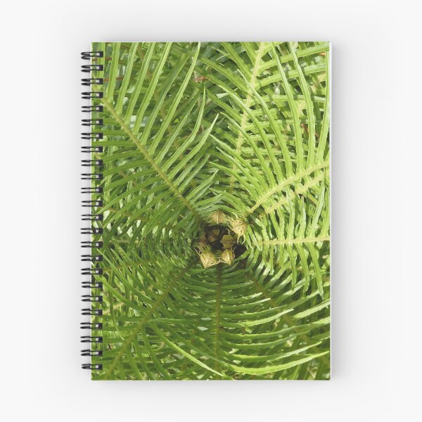 Item preview, Tree Fern Radiation designed and sold by Yampimon.