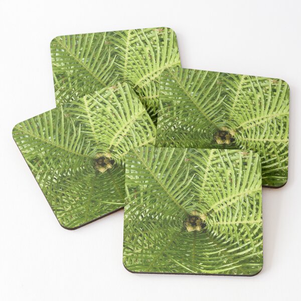 Item preview, Tree Fern Radiation designed and sold by Yampimon.