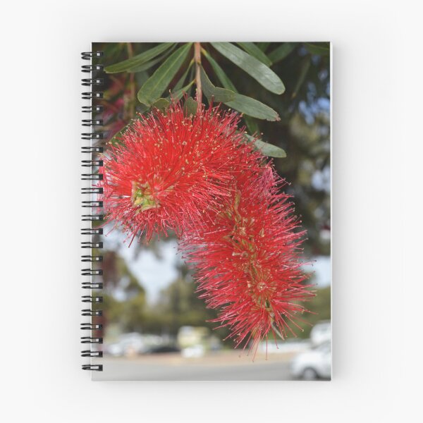 Item preview, The humble bottle brush designed and sold by Kerry LeBoutillier.