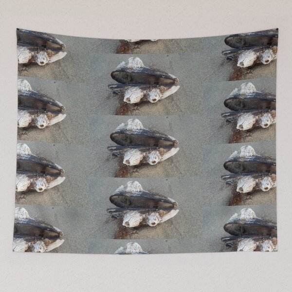 Item preview, Barnacles designed and sold by NitaBond.