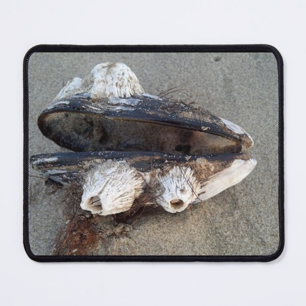 Item preview, Barnacles designed and sold by NitaBond.