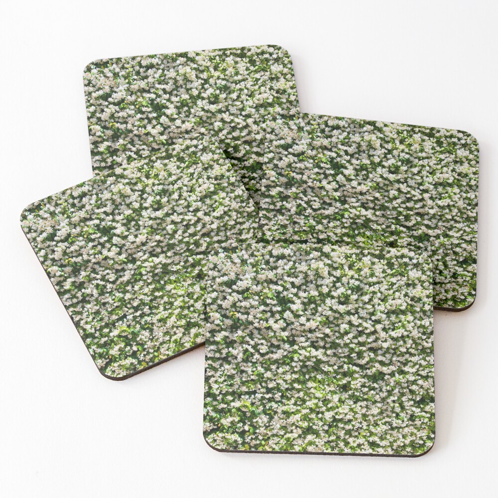 Item preview, Coasters (Set of 4) designed and sold by PatternPalace.