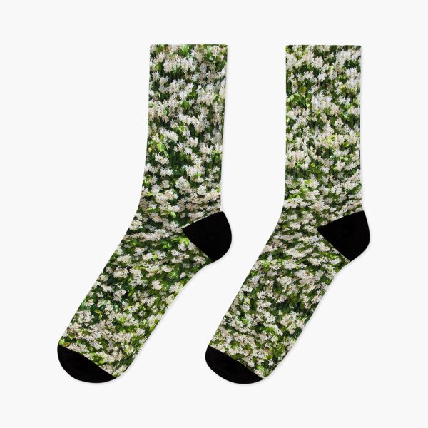 Artikelvorschau, Blumenfeld entworfen und verkauft von PatternPalace.