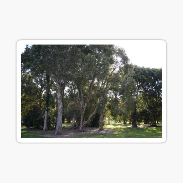 Item preview, Riverside park - Lawnton Qld designed and sold by Kerry LeBoutillier.