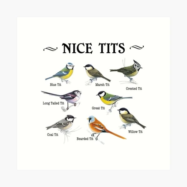 Bamboo Wood Cutting Board Nice Tits Funny Bird Watcher Lover Tit Birds