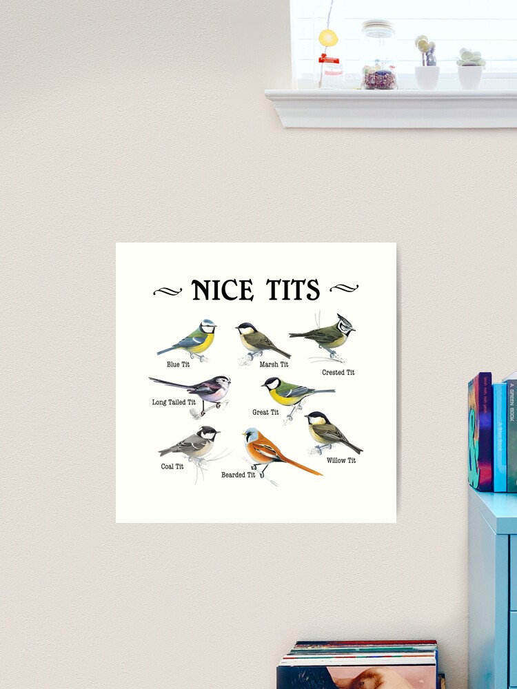 Nice Tits Bird Birds Watching Tit Nature #2 Round Beach Towel by