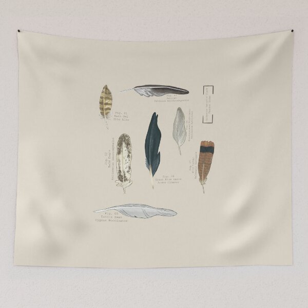 Item preview, Scientific Feather Index designed and sold by Danielle Seay.