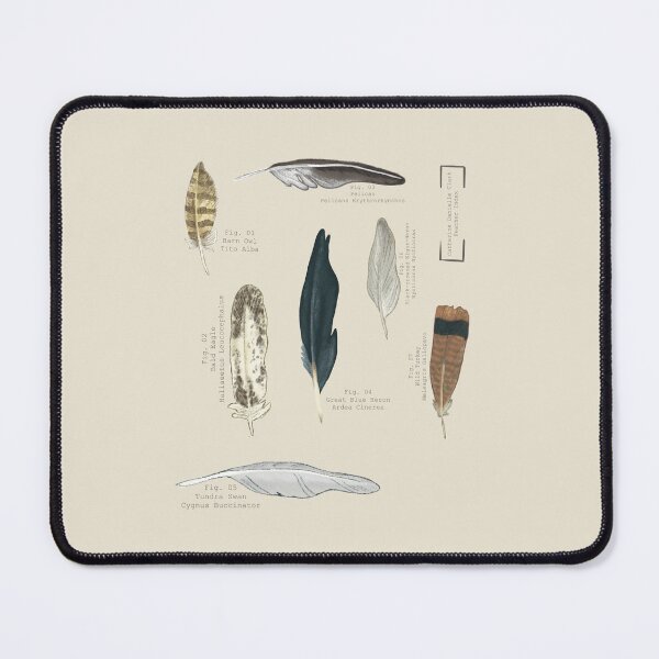 Item preview, Scientific Feather Index designed and sold by Danielle Seay.