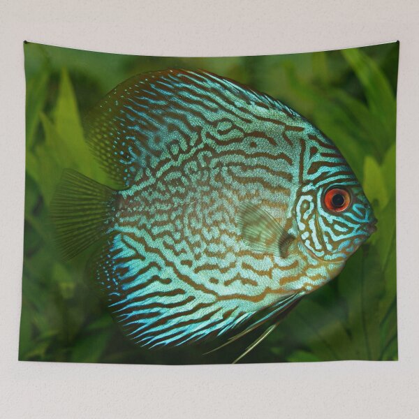 Item preview, Tropical Fish designed and sold by Lit_Creation ⭐️⭐️⭐️⭐️⭐️.
