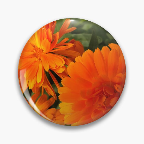 Item preview, Calendula macro designed and sold by Violaman.