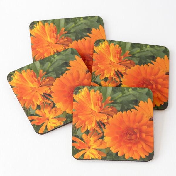 Item preview, Calendula macro designed and sold by Violaman.