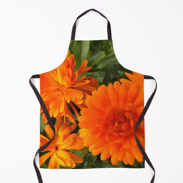Item preview, Calendula macro designed and sold by Violaman.