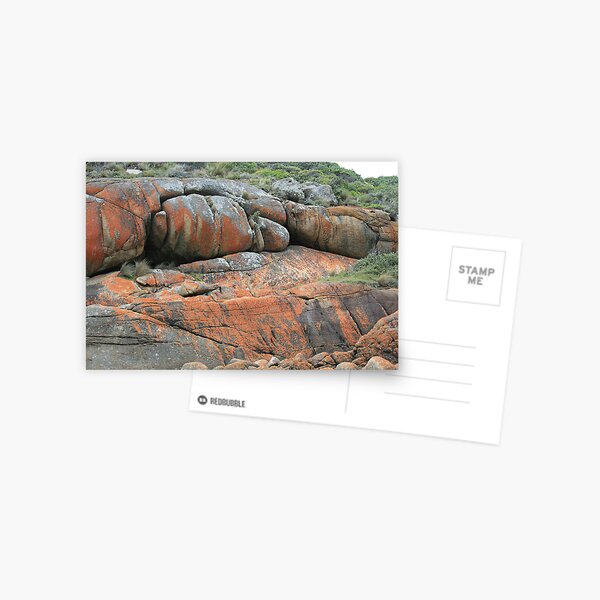 Point Hicks NSW Postcard