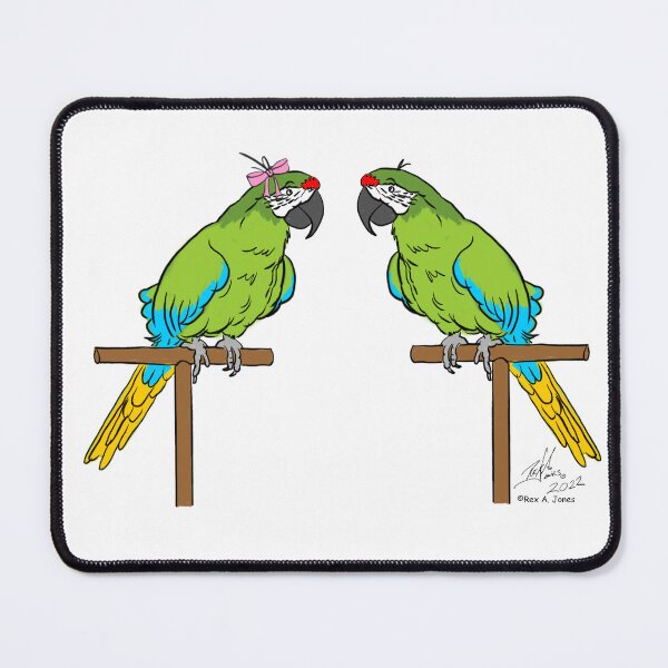 Item preview, Crazy Bird Lady with Military Macaws designed and sold by Laughing Parrot Studio.