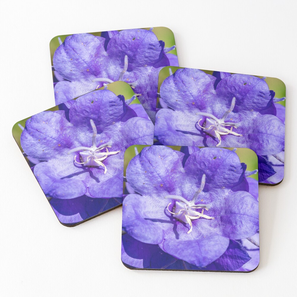 Item preview, Coasters (Set of 4) designed and sold by John Stoves.