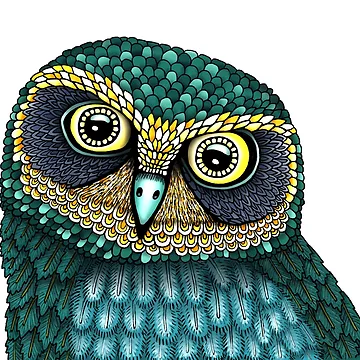 Artwork thumbnail, Boo Book Owl by Drawstring