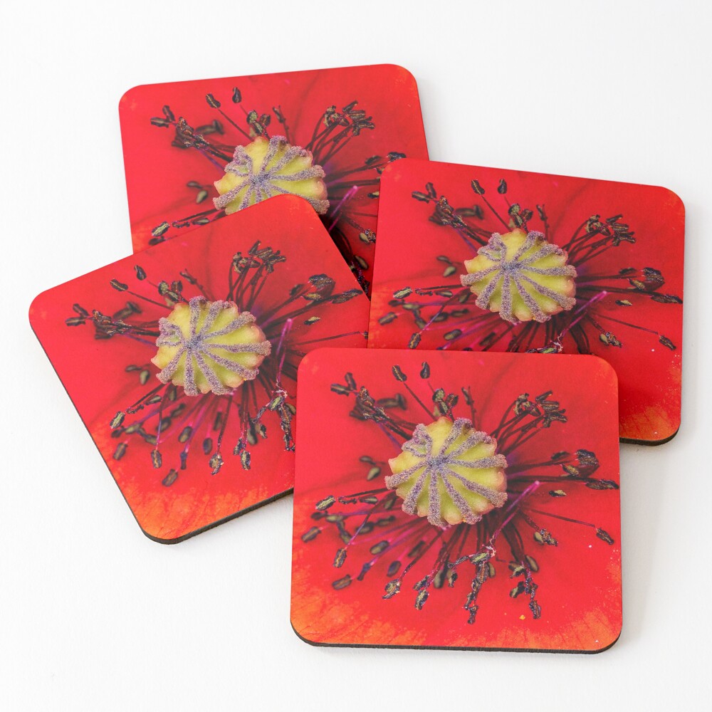 Item preview, Coasters (Set of 4) designed and sold by Ruffus11.