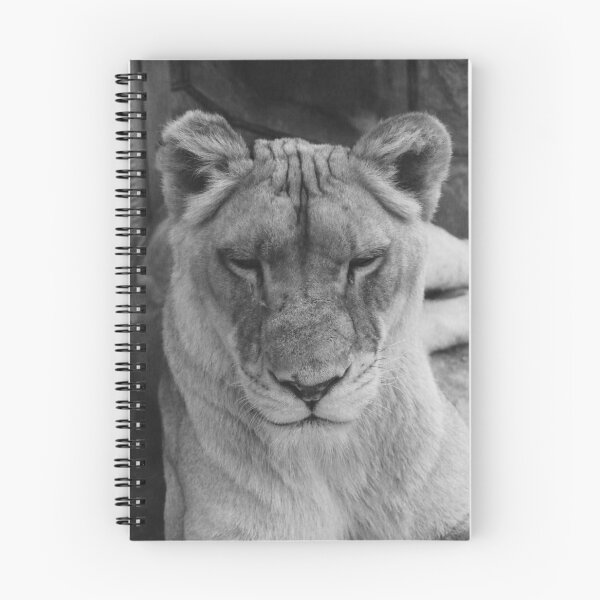 Item preview, Intelligent Insight designed and sold by TEvans1.