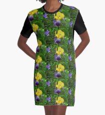 Complementary Colours Graphic T-Shirt Dress