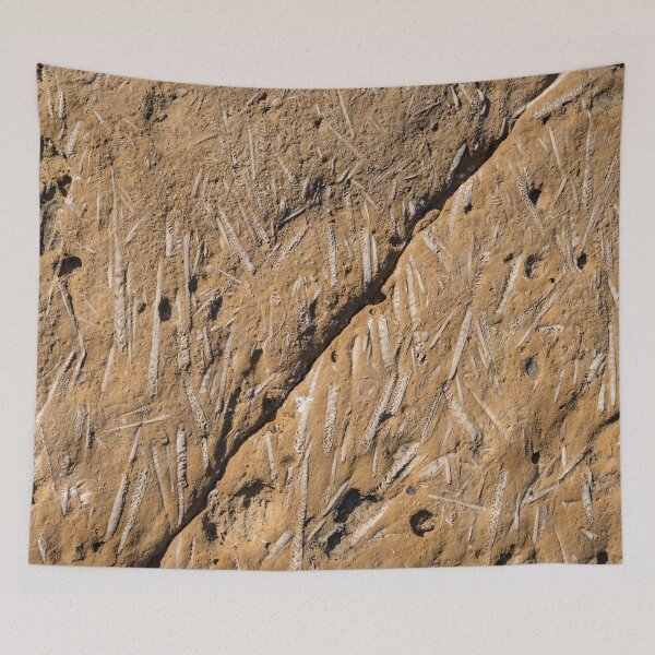 Item preview, Fascinating Fossils Take Two designed and sold by Georgia Mizuleva.