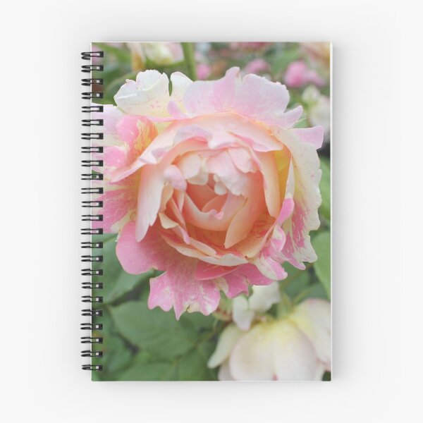 Item preview, roses designed and sold by rachariedel.