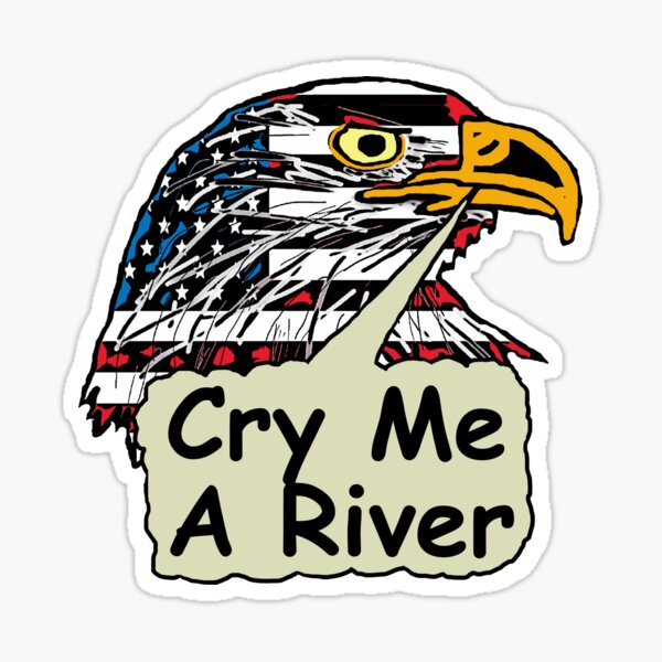 CRY ME A RIVER, BUILD A BRIDGE, AND GET OVER IT!!! – Pipette and Tips