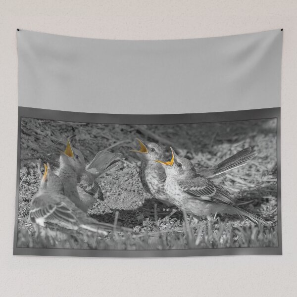 Item preview, Four Mockingbird Fledglings Begging For Food designed and sold by CarolM.