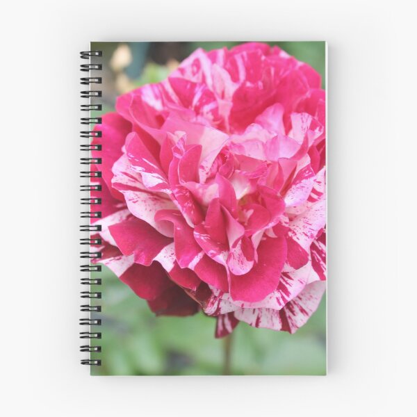 Item preview, roses designed and sold by rachariedel.