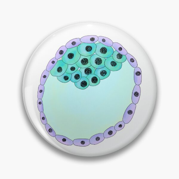 Item preview, Watercolor Blastocyst designed and sold by fogoosherie.