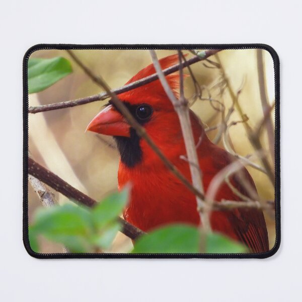 Item preview, Cardinal #001 designed and sold by Jeffrey Mask.