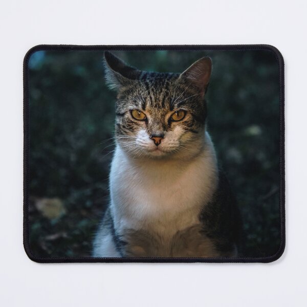 Item preview, A cat watching you designed and sold by Brkoo-Shop.