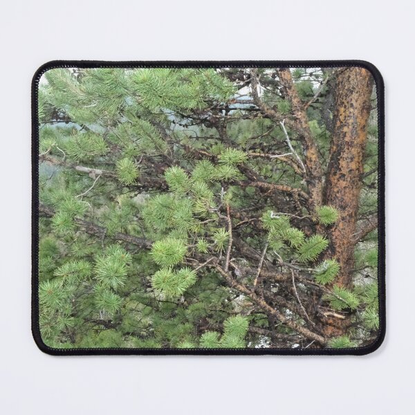 Item preview, Rocky Mountain Tree designed and sold by Haley-Marshall.