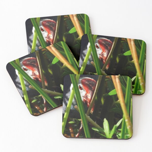 Item preview, Grey Headed Swamphen designed and sold by Jeffrey Mask.