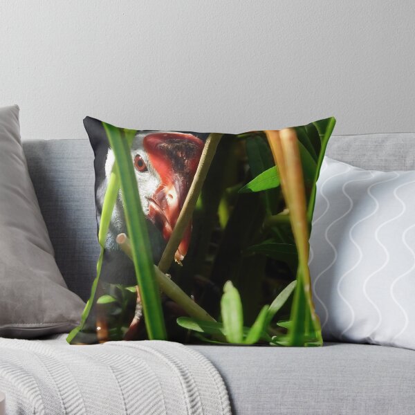 Item preview, Grey Headed Swamphen designed and sold by Jeffrey Mask.