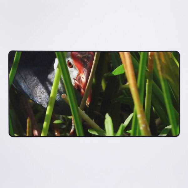 Item preview, Grey Headed Swamphen designed and sold by Jeffrey Mask.