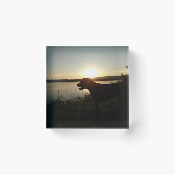 Item preview, Dog on the shore in the sunset designed and sold by Melissa Renee.