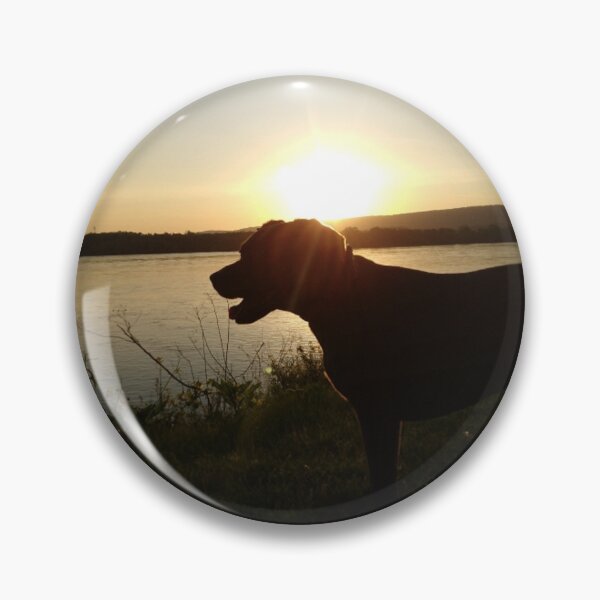 Item preview, Dog on the shore in the sunset designed and sold by Melissa Renee.