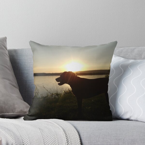 Item preview, Dog on the shore in the sunset designed and sold by Melissa Renee.