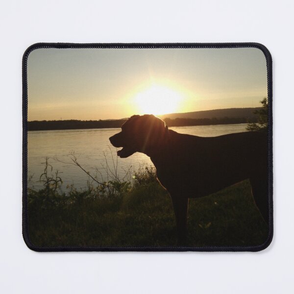 Item preview, Dog on the shore in the sunset designed and sold by Melissa Renee.