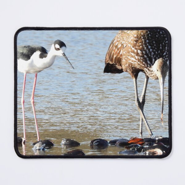 Item preview, Stillts & Limpkin designed and sold by Jeffrey Mask.